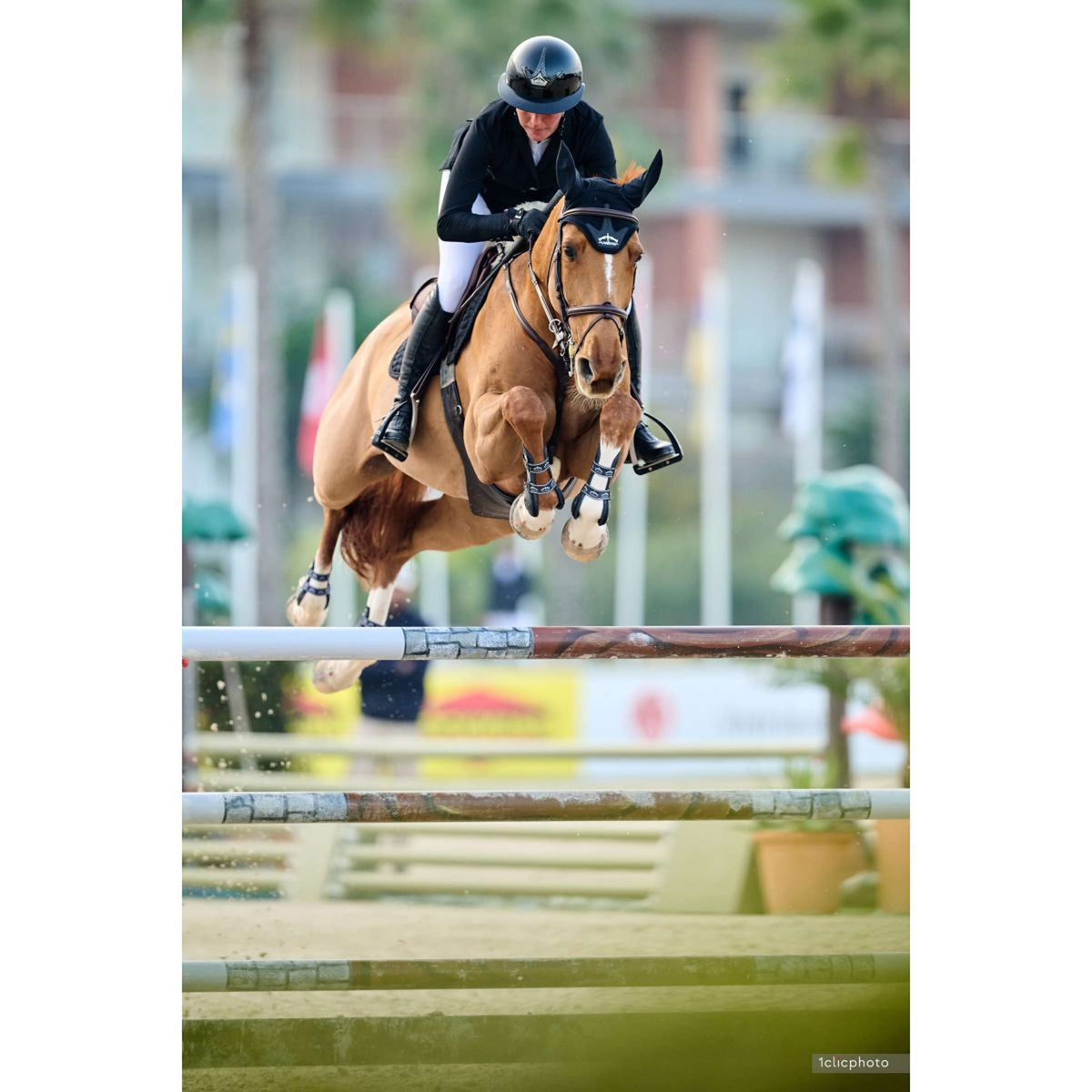 Veredus Reithelm Vita Breiter Visier Schwarz lackiert