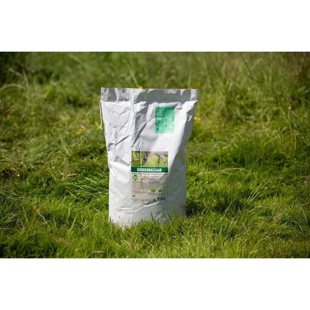 Vitalstyle Wiesengrassamen
