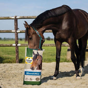 Vitalstyle SluesliMix