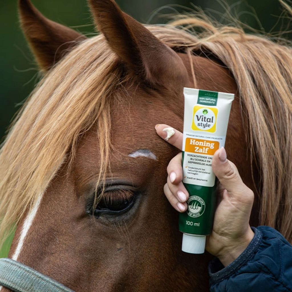Vitalstyle Honigsalbe