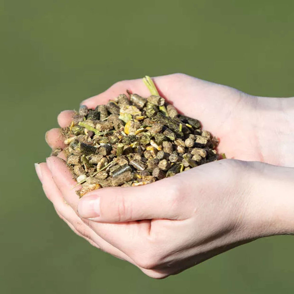 Vitalstyle Müsli Senior & Balance