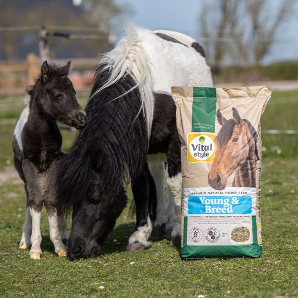 Vitalstyle Müsli Young & Breed