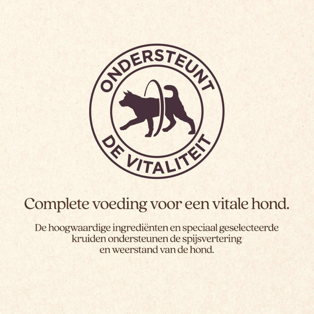Vitalstyle Hund Adult