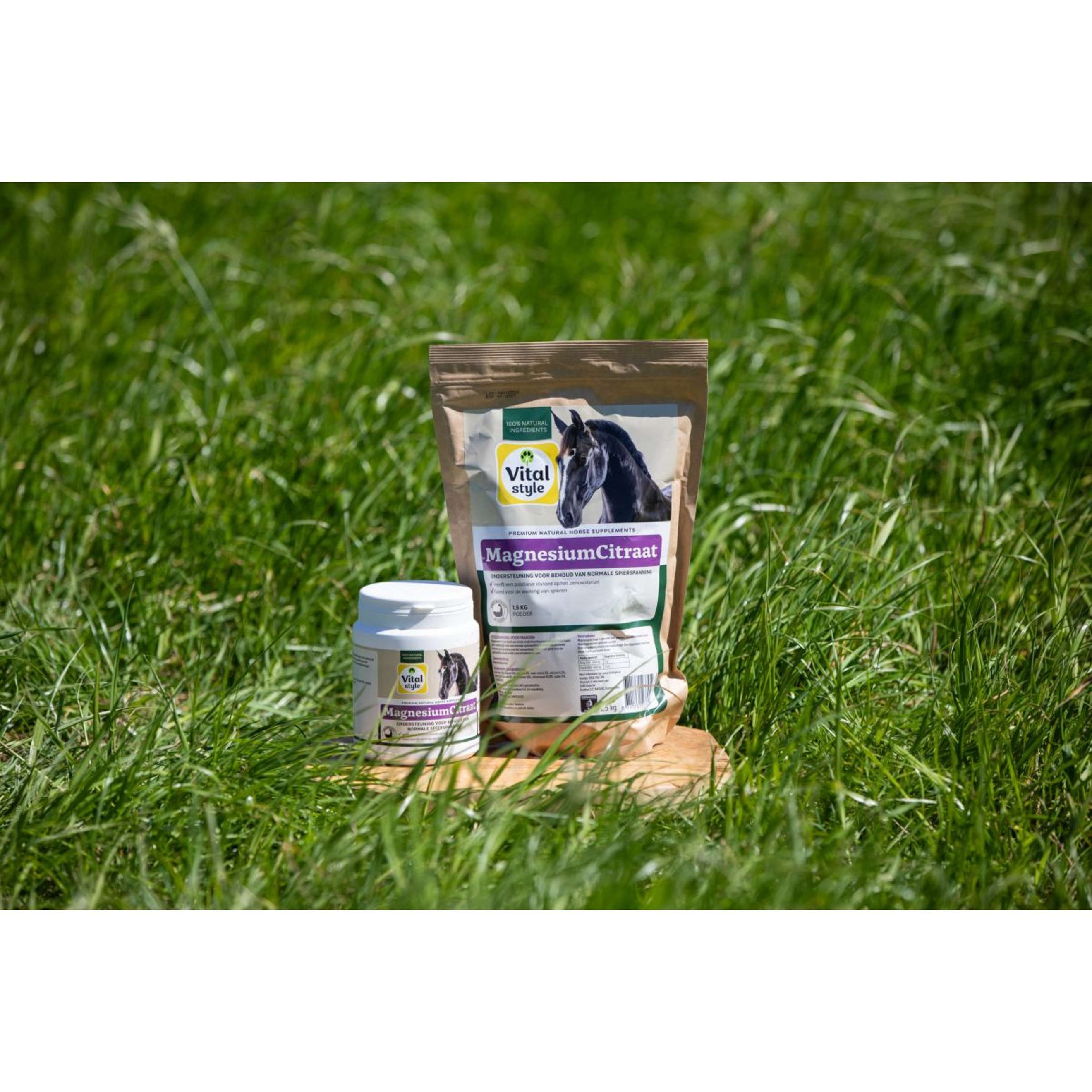 Vitalstyle Magnesiumcitrat