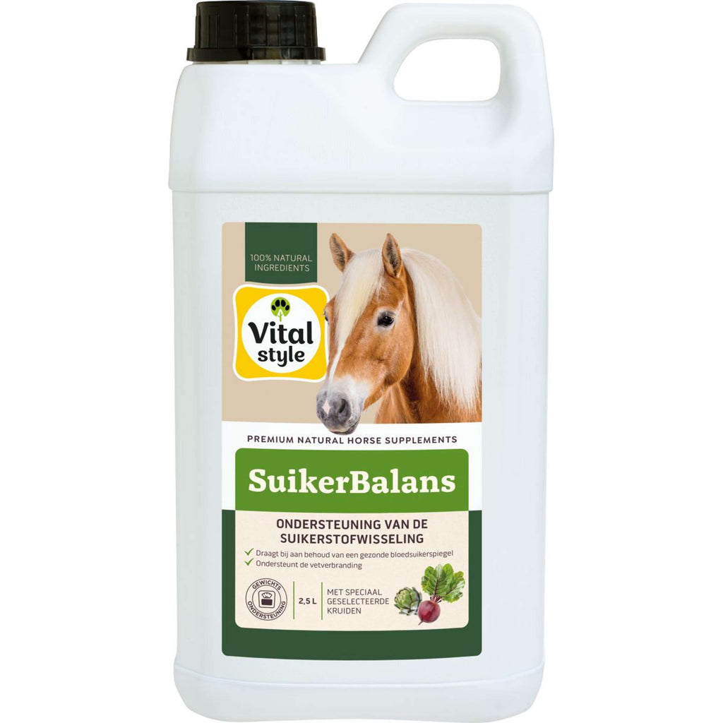 Vitalstyle Zucker Balance