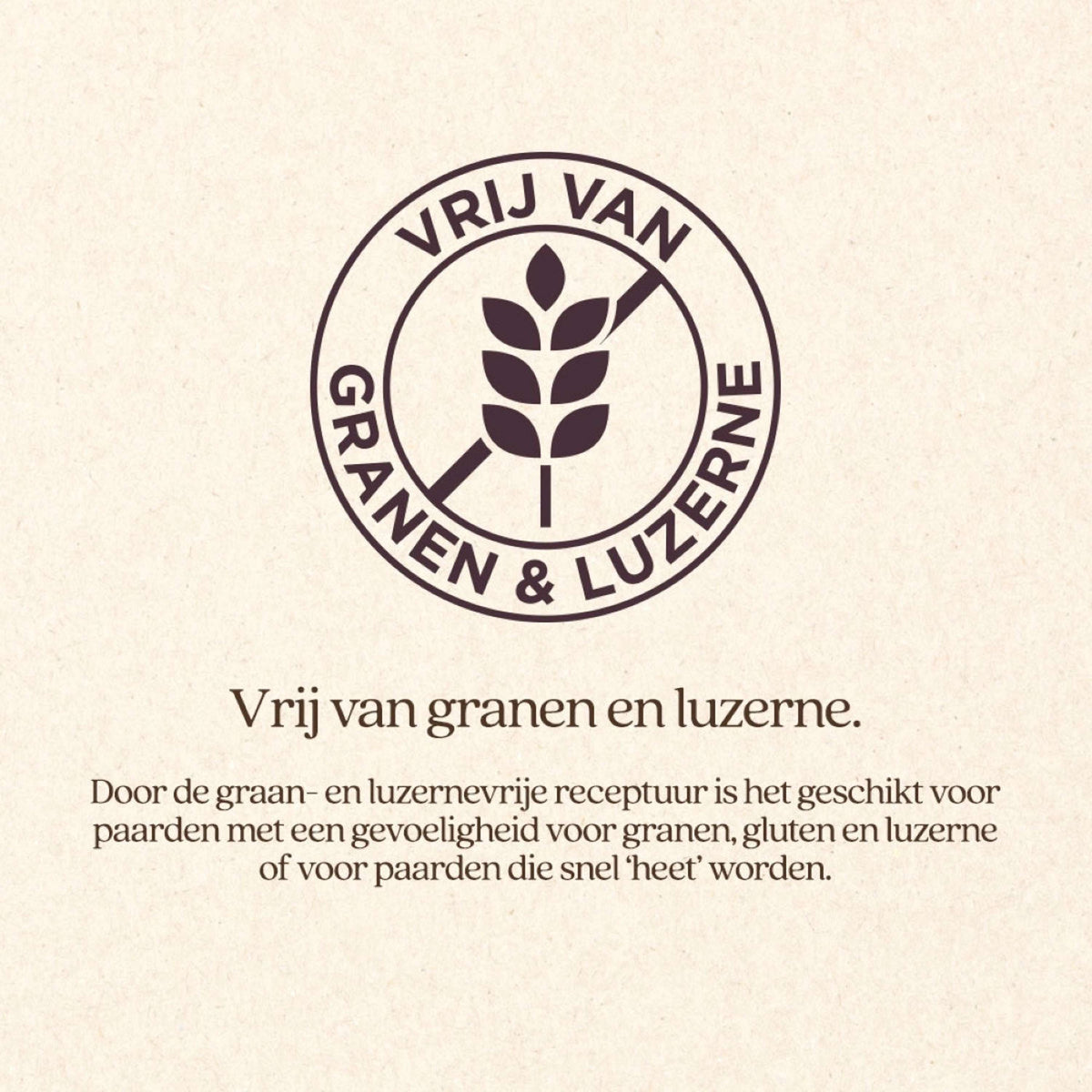 Vitalstyle Grass & Fiber Haycobs