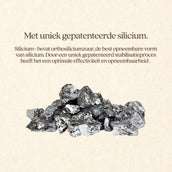 Vitalstyle Silicium+