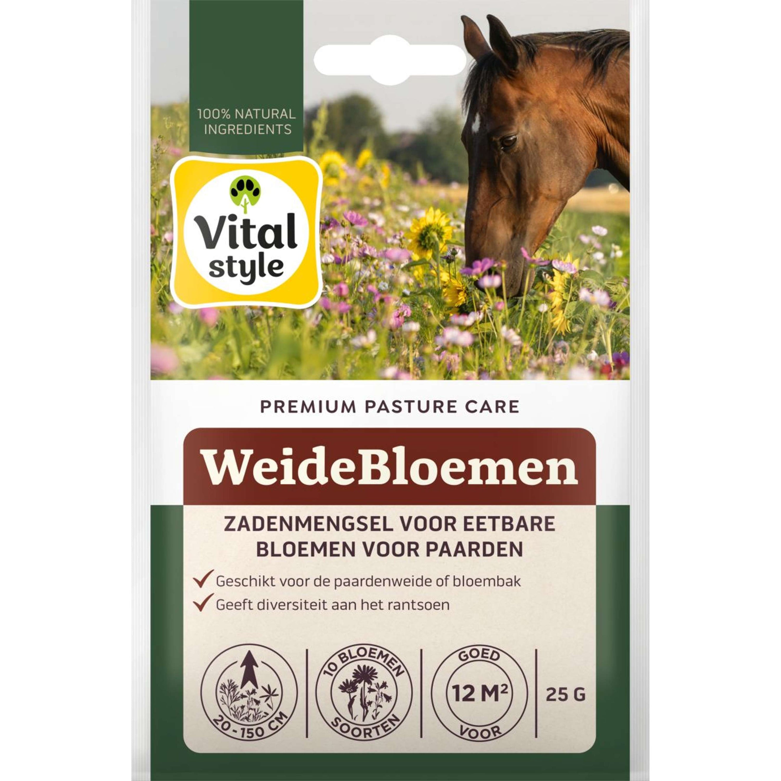 Vitalstyle Wiesenblumen