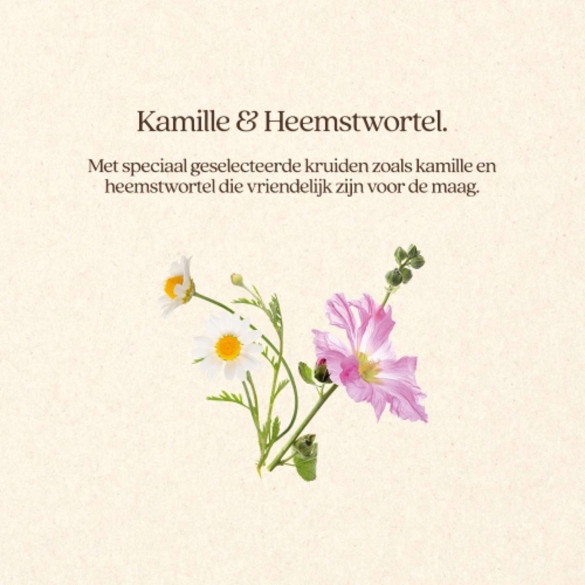 Vitalstyle GastroComplex+