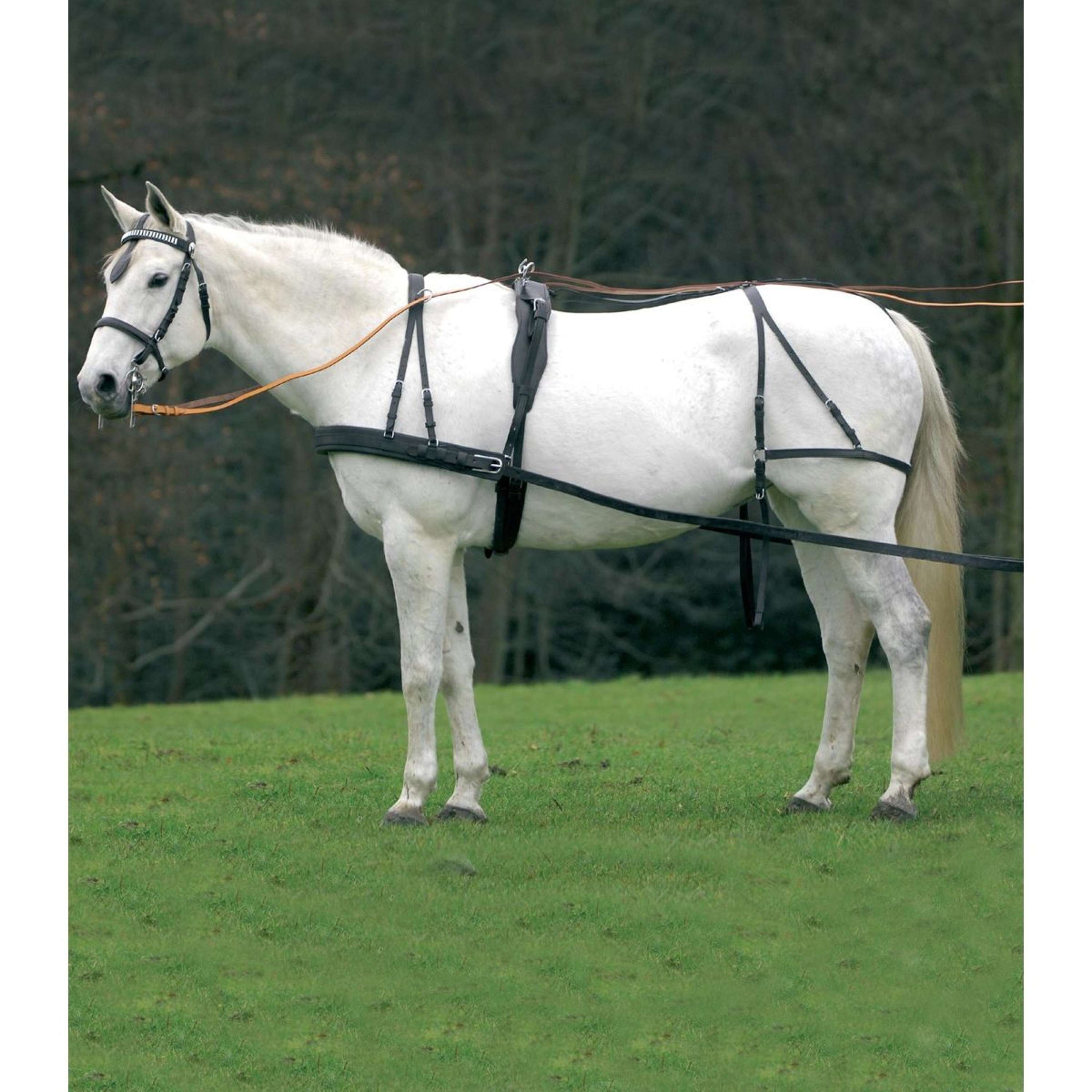 Waldhausen Geschirr Einspänner Leder Economic Schwarz Waldhausen Geschirr Einspänner Leder Economic Schwarz