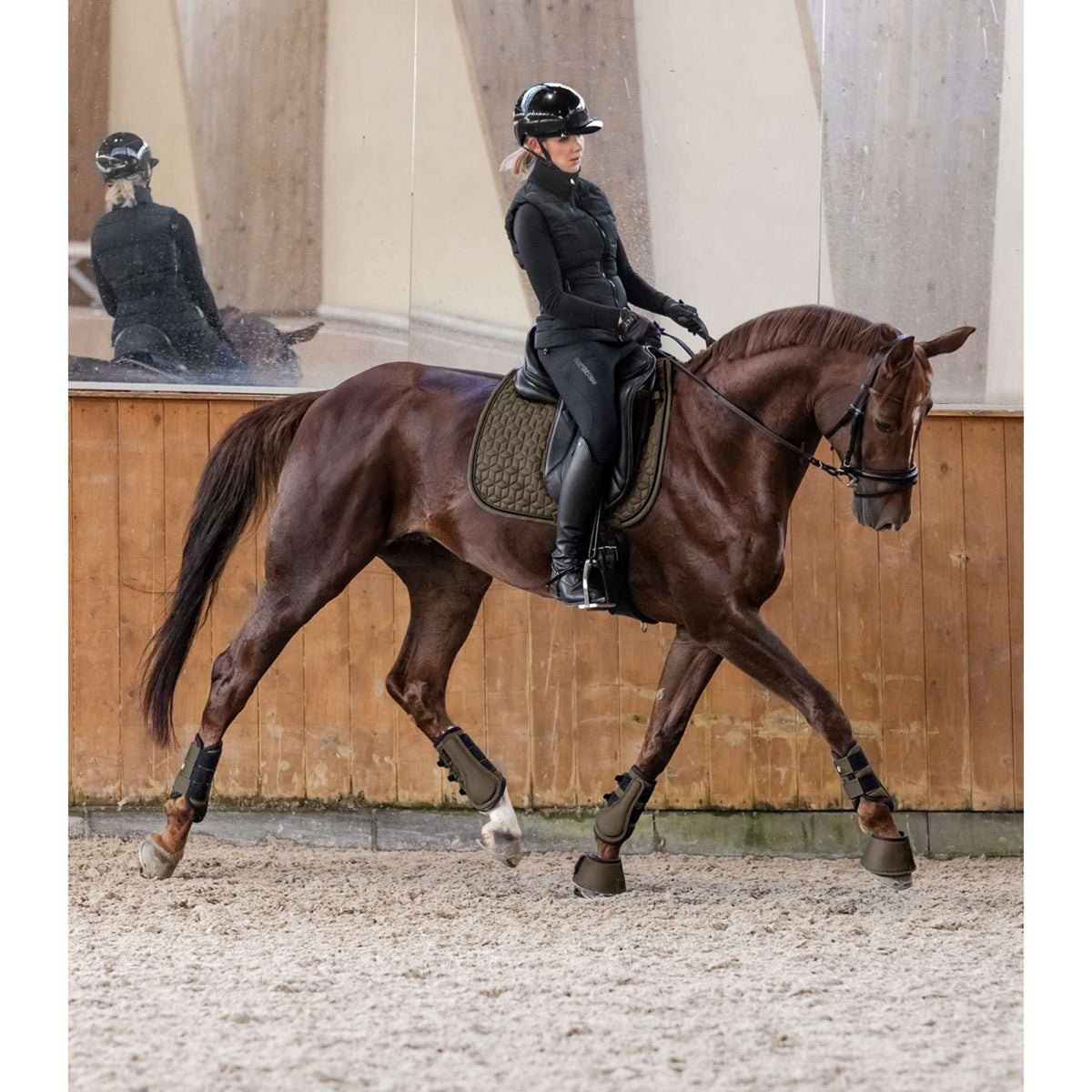 Waldhausen Schabracke Philadelphia Dressur Grün/Braun