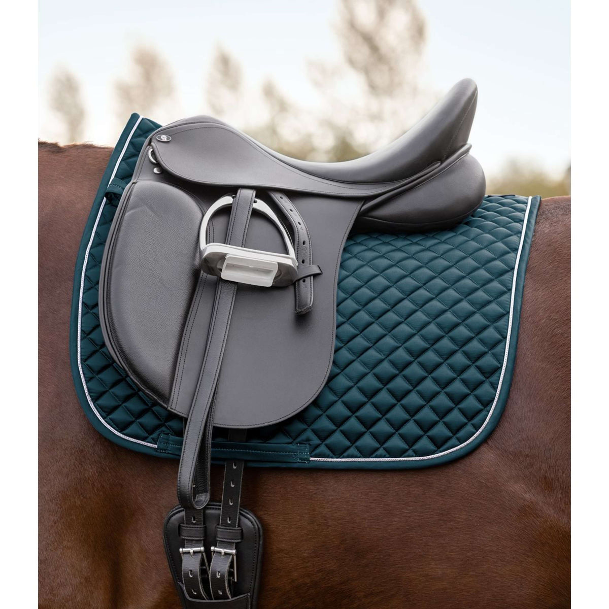 Waldhausen Schabracke Felix Glam Dressur Petrol Blue