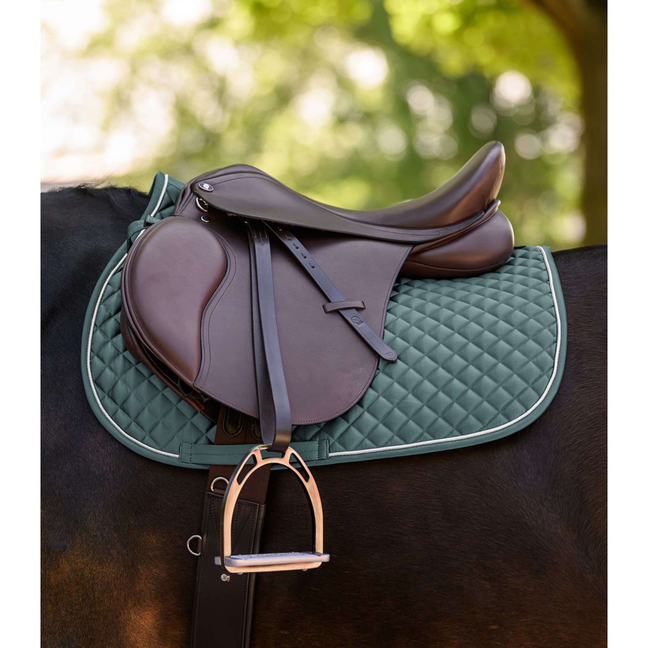 Waldhausen Schabracke Felix Glam Vielseitigkeit Pine Green