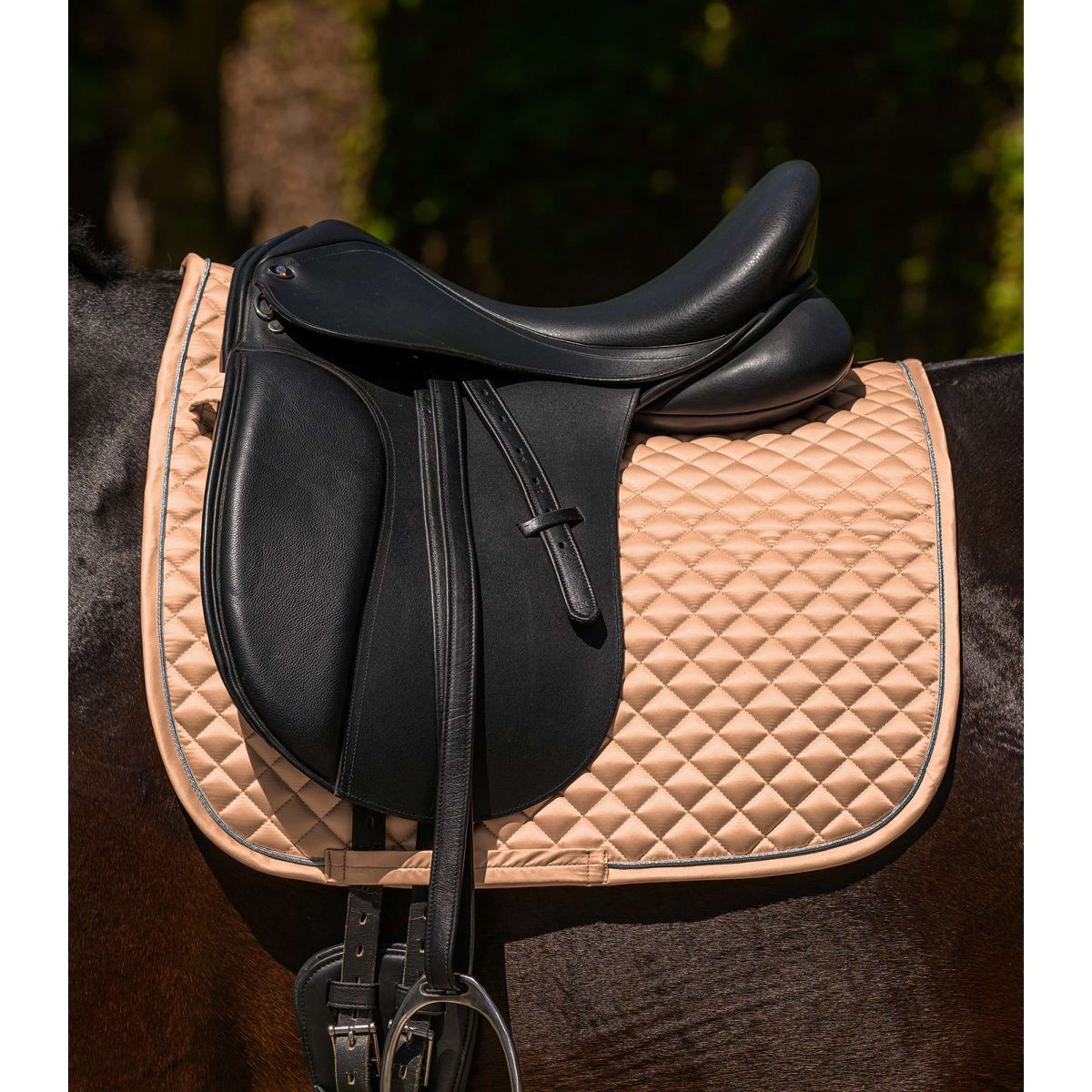 Waldhausen Schabracke Felix Glam Dressur Pfirsichfarben Waldhausen Schabracke Felix Glam Dressur Pfirsichfarben