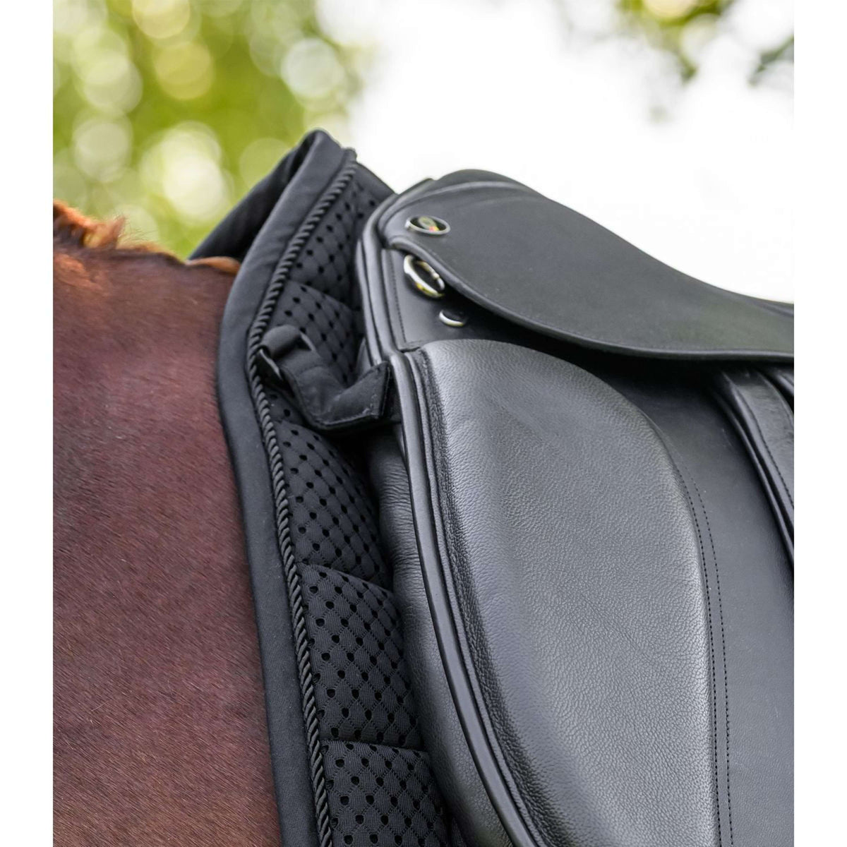 Waldhausen Schabracke Breath Performance Dressur Schwarz