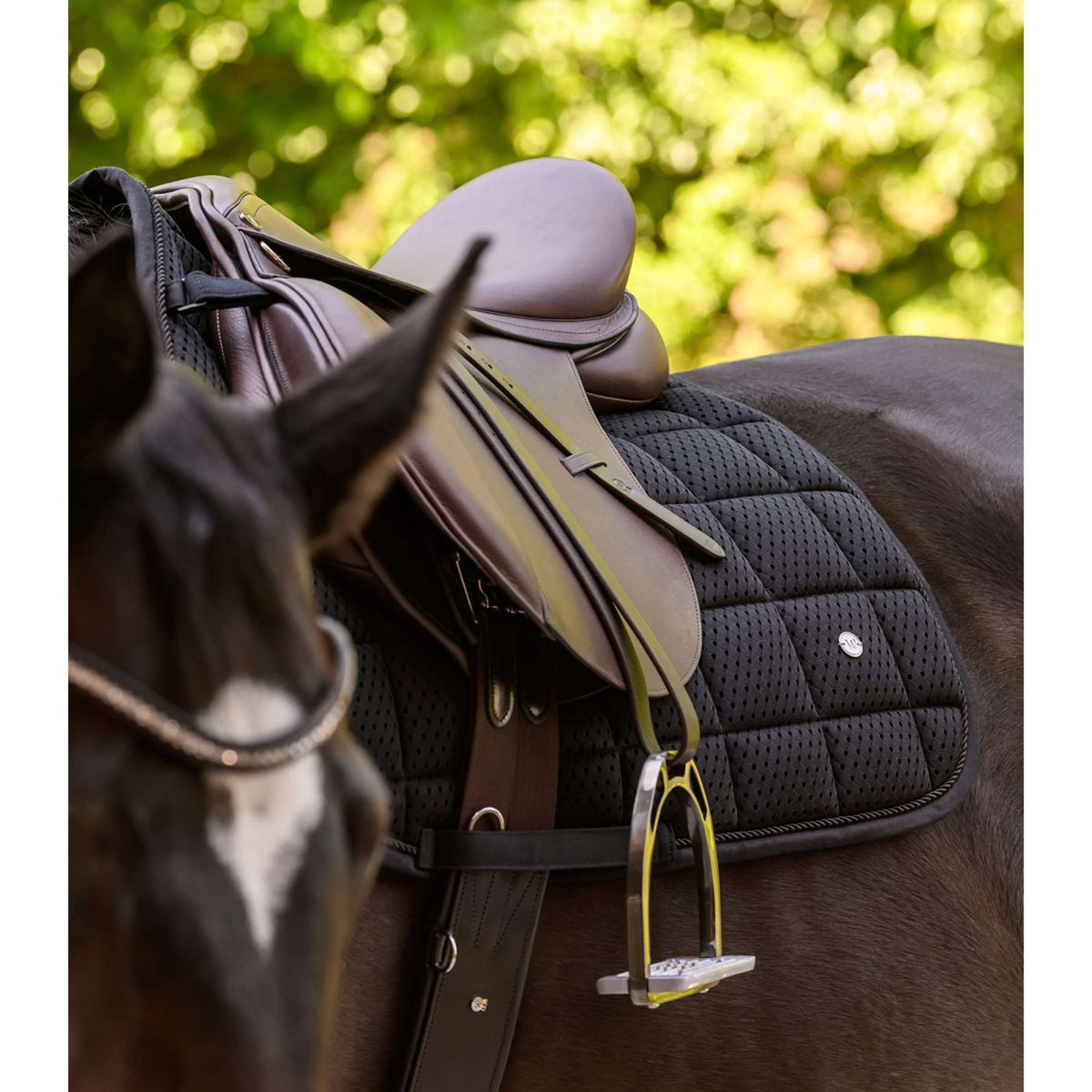 Waldhausen Schabracke Breath Performance Vielseitigkeit Schwarz