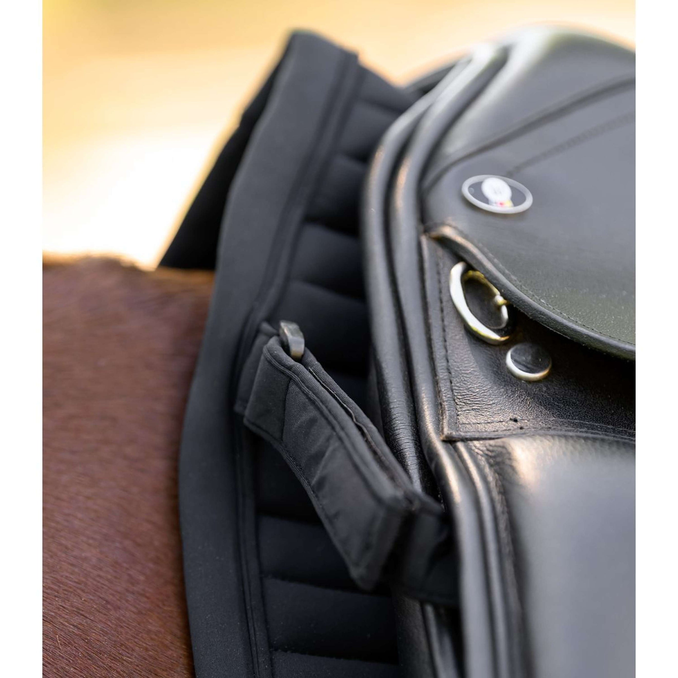 Waldhausen Schabracke Trinidad Vielseitigkeit Schwarz Waldhausen Schabracke Trinidad Vielseitigkeit Schwarz