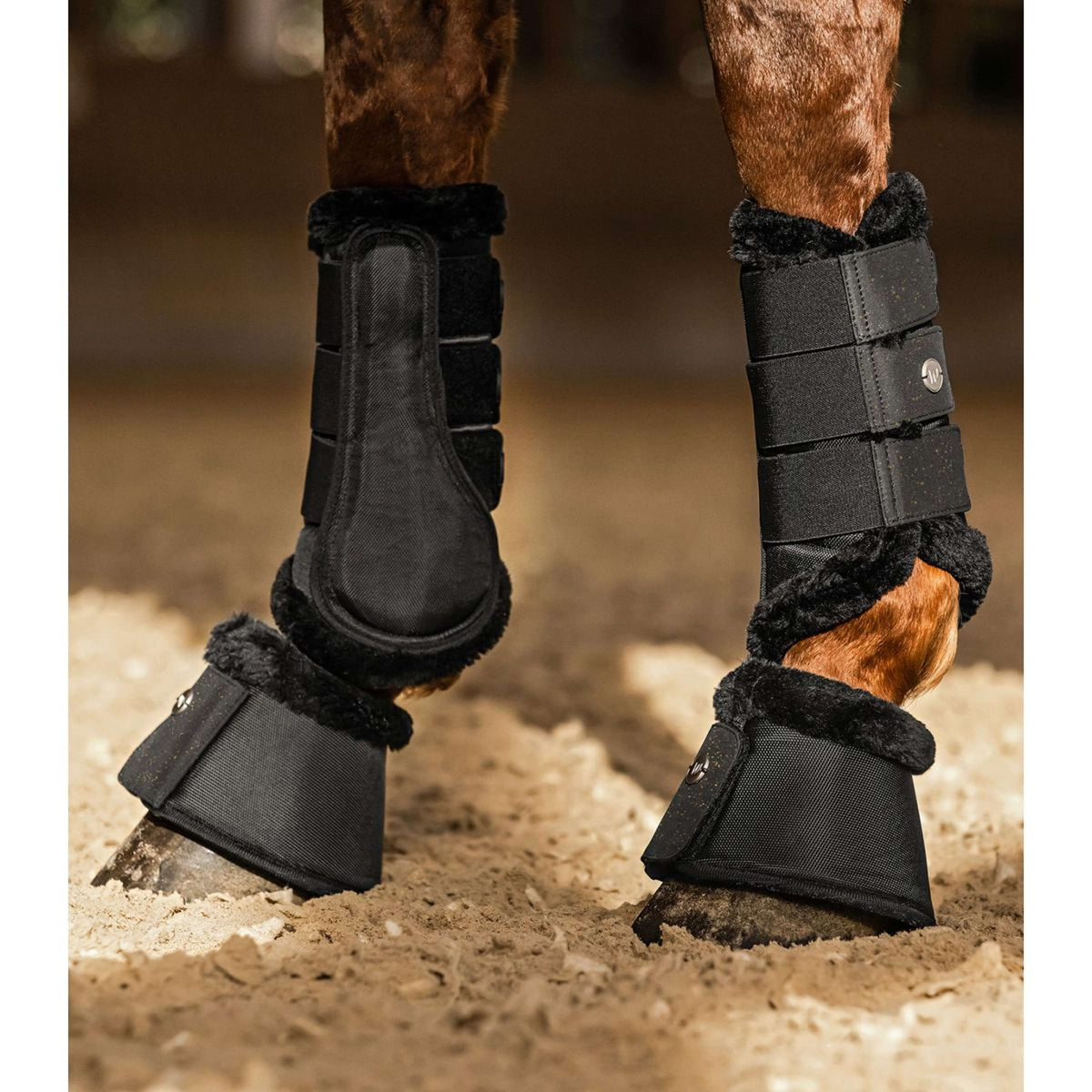 Waldhausen Dressage Boots Phoenix Schwarz