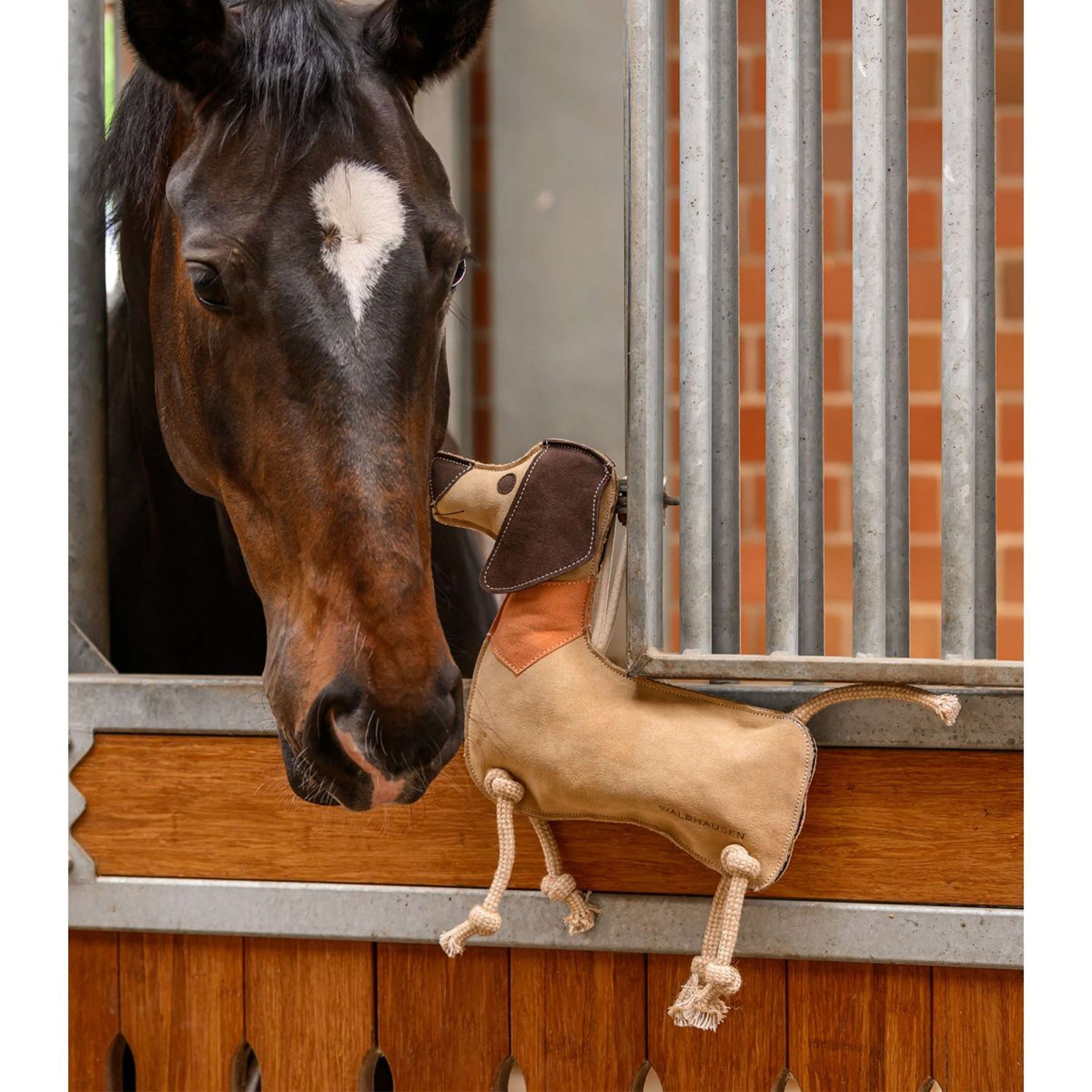 Waldhausen Spielzeug Dachshund Dieter Waldhausen Spielzeug Dachshund Dieter