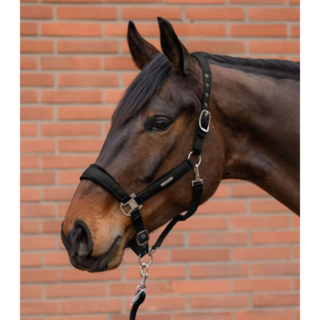 Waldhausen Halfterset Velvet Schwarz