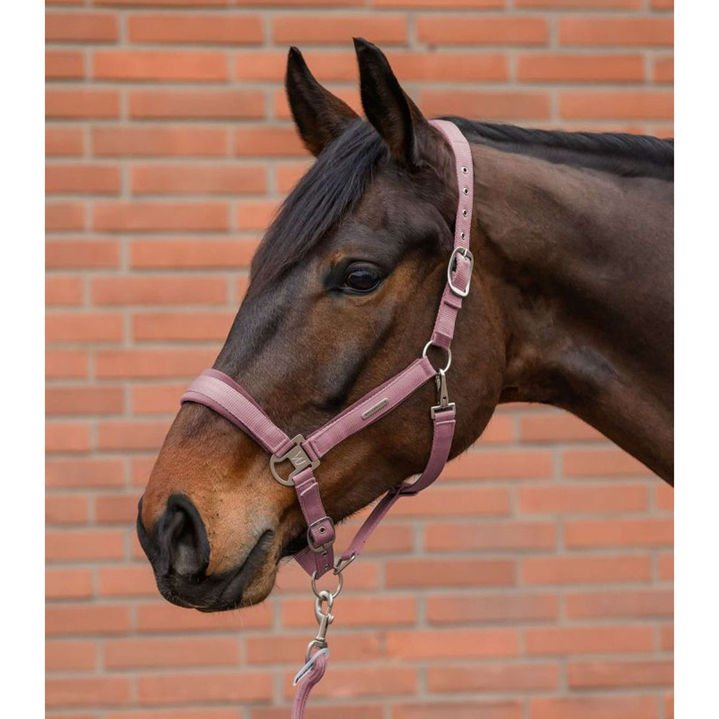 Waldhausen Halfterset Velvet Dusky Pink