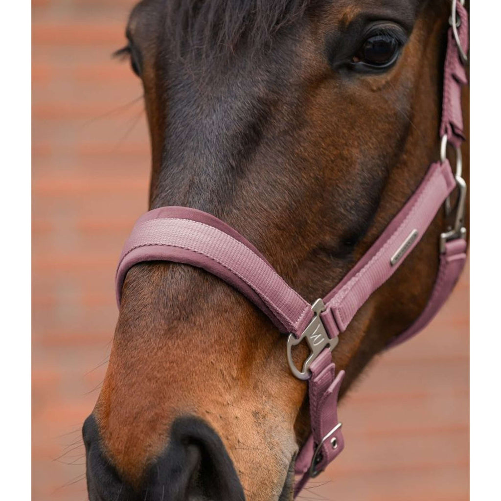 Waldhausen Halfterset Velvet Dusky Pink