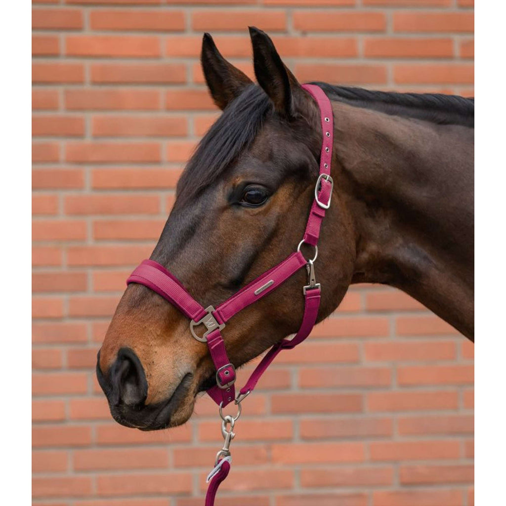Waldhausen Halfterset Velvet Pomegranate