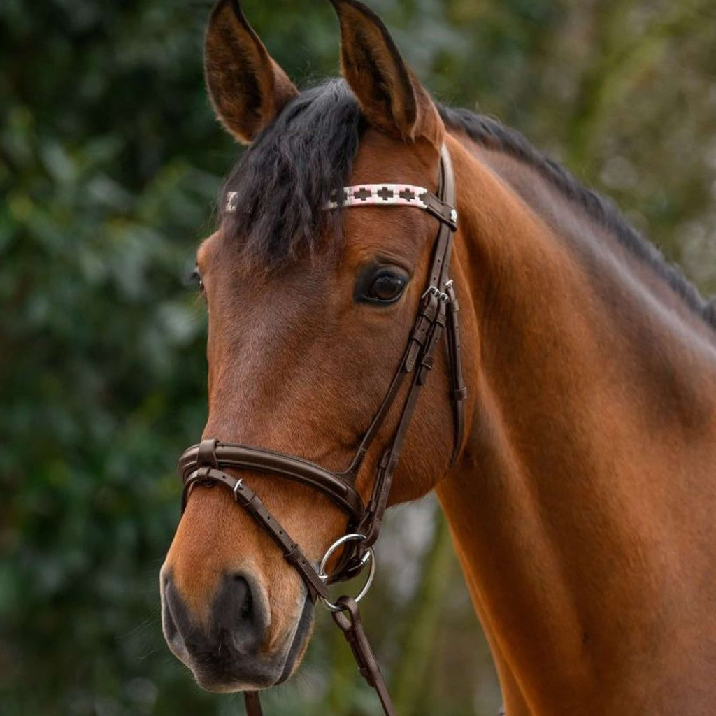 Waldhausen Stirnriemen X-Line Polo Braun/Rosa/Beige