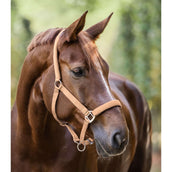 Waldhausen Halfter Satin Pfirsichfarben