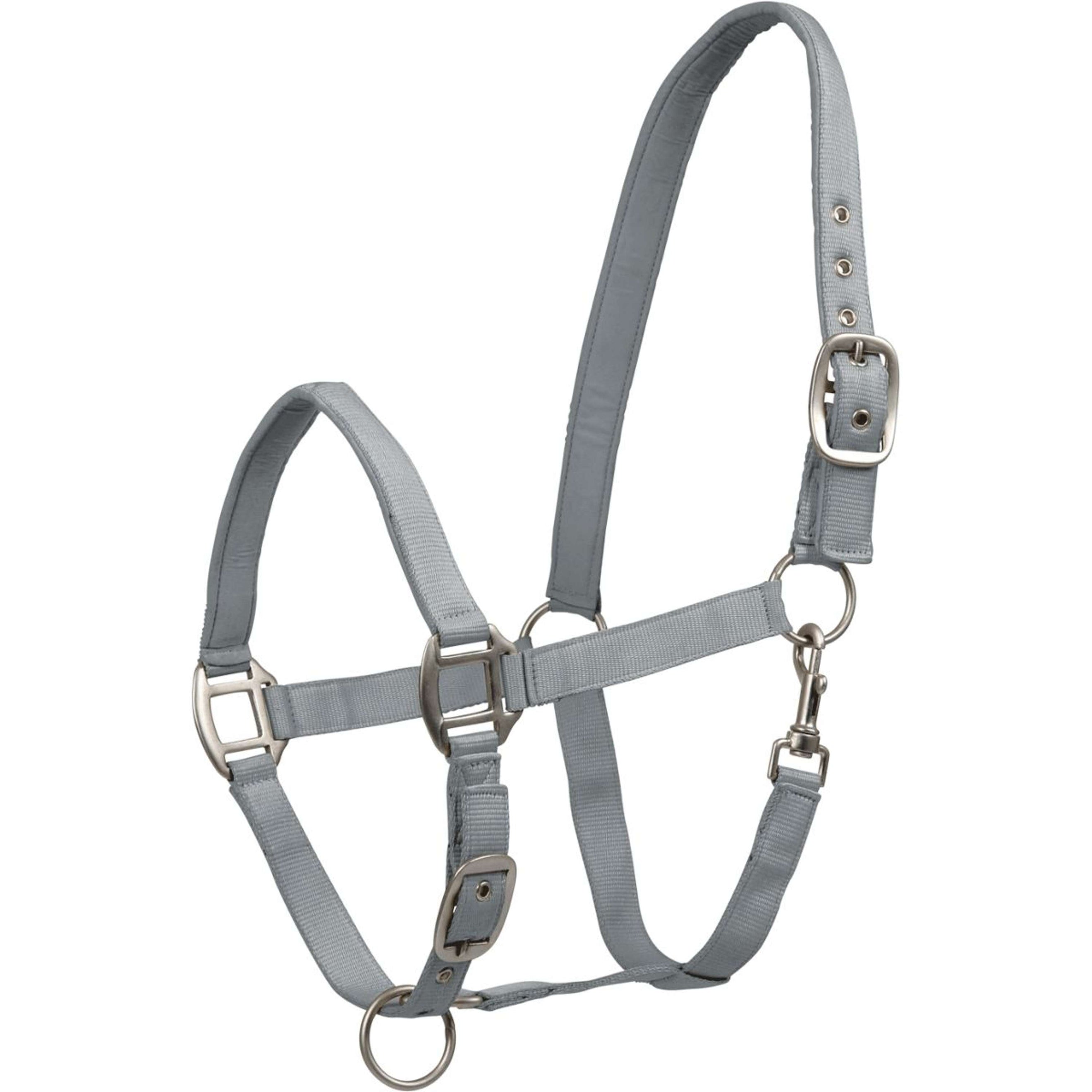 Waldhausen Halfter Satin Chrome Grey