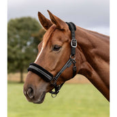 Waldhausen Halfter Elegant Schwarz/Schwarz