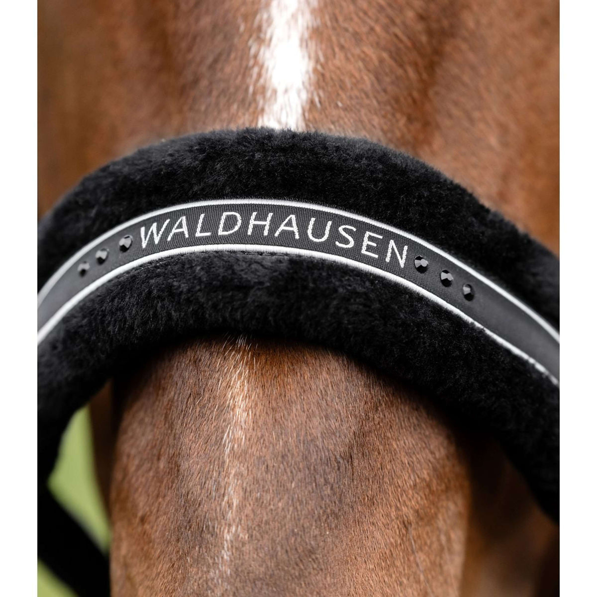 Waldhausen Halfter Elegant Schwarz/Schwarz