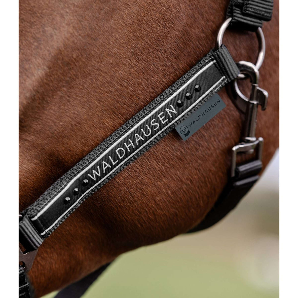 Waldhausen Halfter Elegant Schwarz/Schwarz