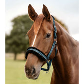 Waldhausen Halfter Elegant Petrol Blue