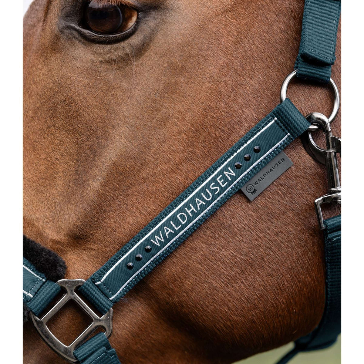 Waldhausen Halfter Elegant Petrol Blue