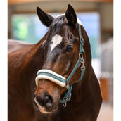 Waldhausen Halfter Elegant Pine Green