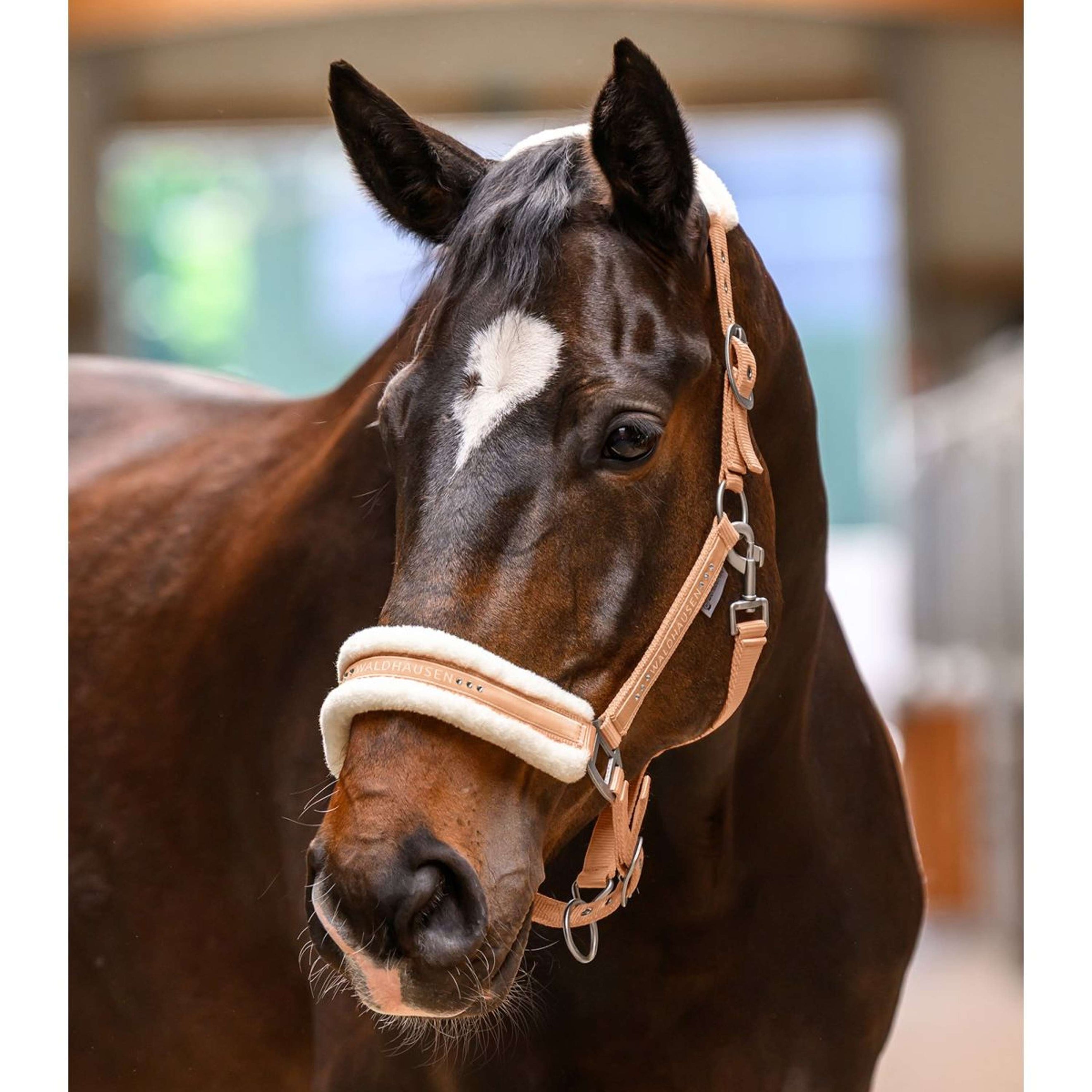 Waldhausen Halfter Elegant Pfirsichfarben Waldhausen Halfter Elegant Pfirsichfarben