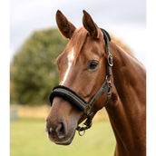 Waldhausen Halfter Elegant Grün/Braun