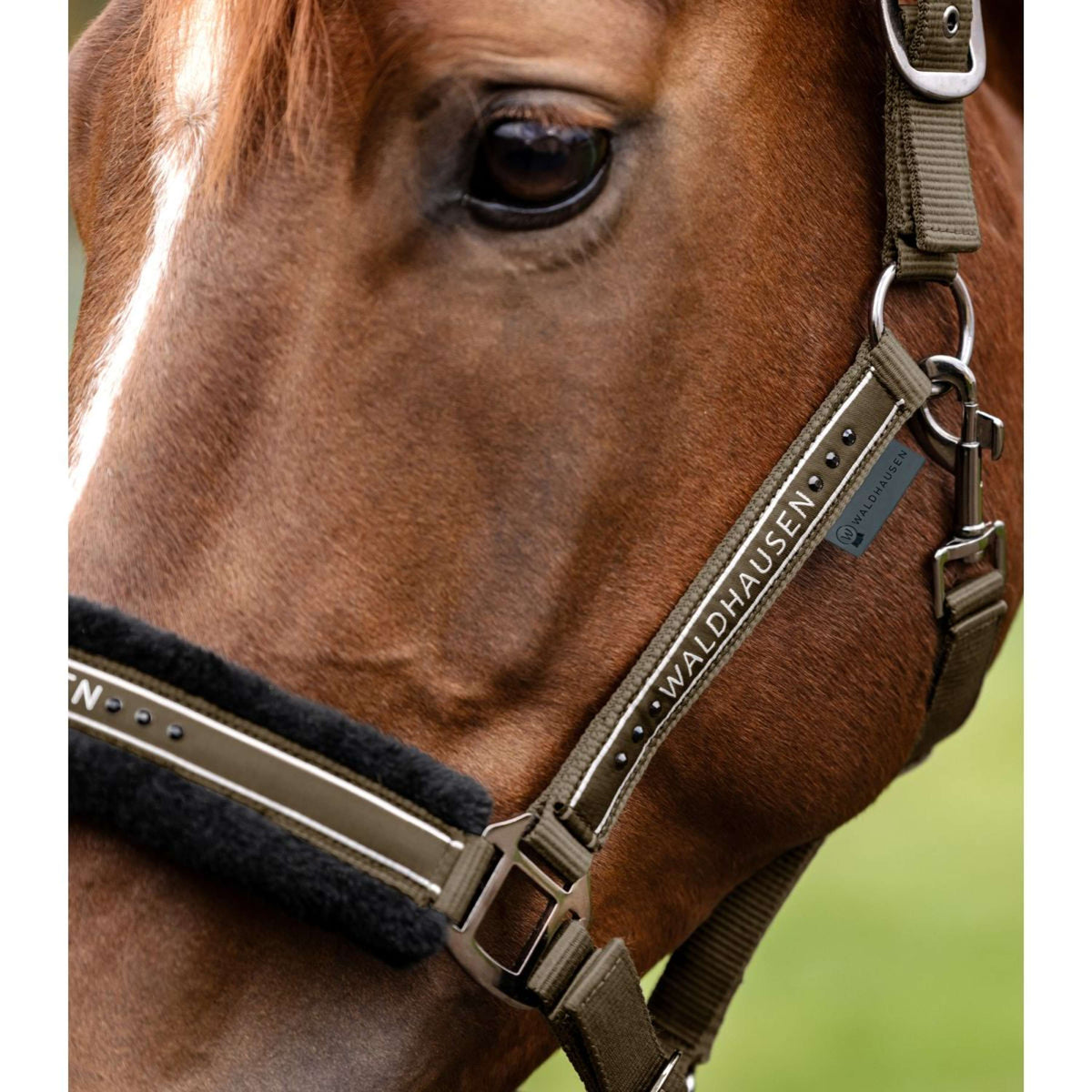 Waldhausen Halfter Elegant Grün/Braun