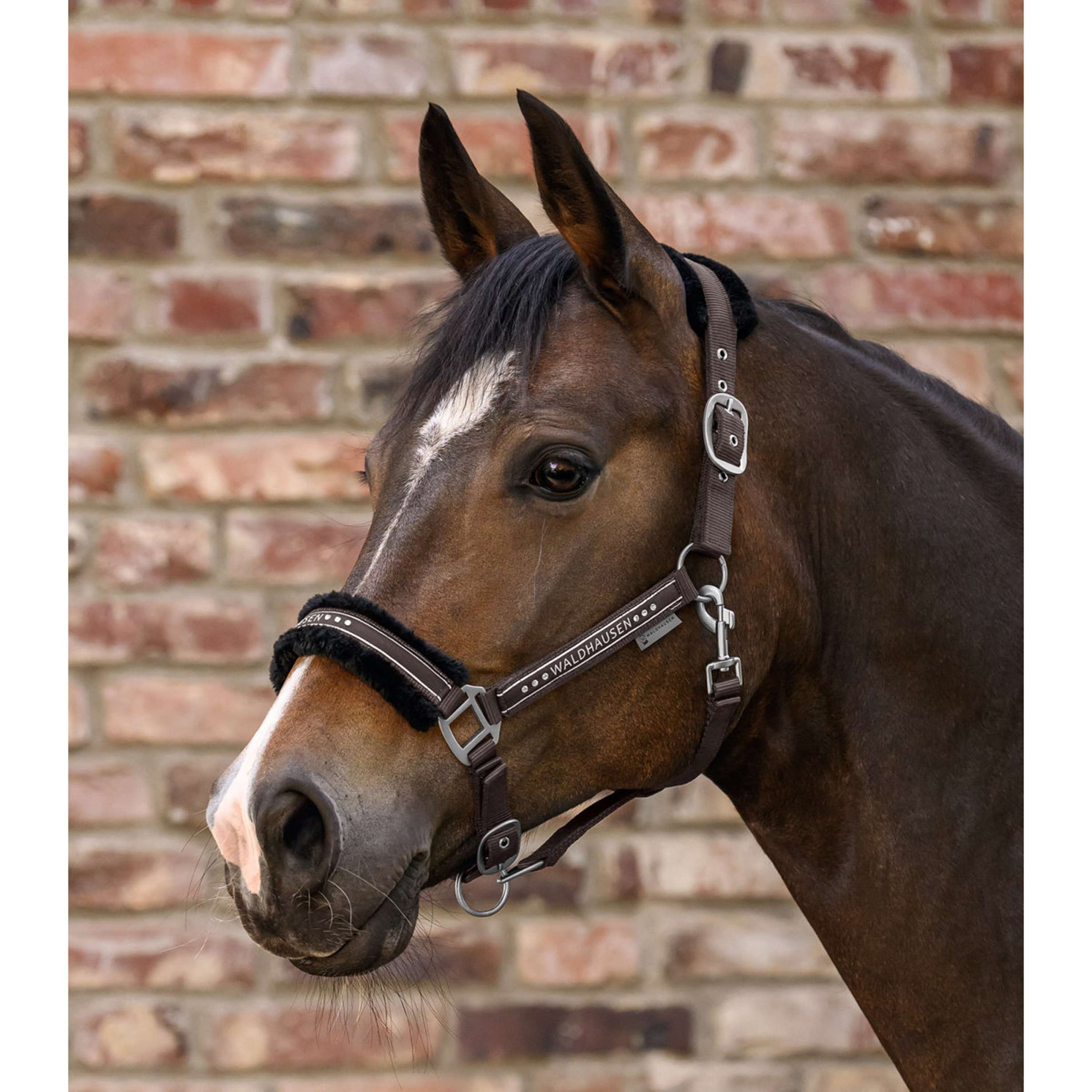 Waldhausen Halfter Elegant Sage