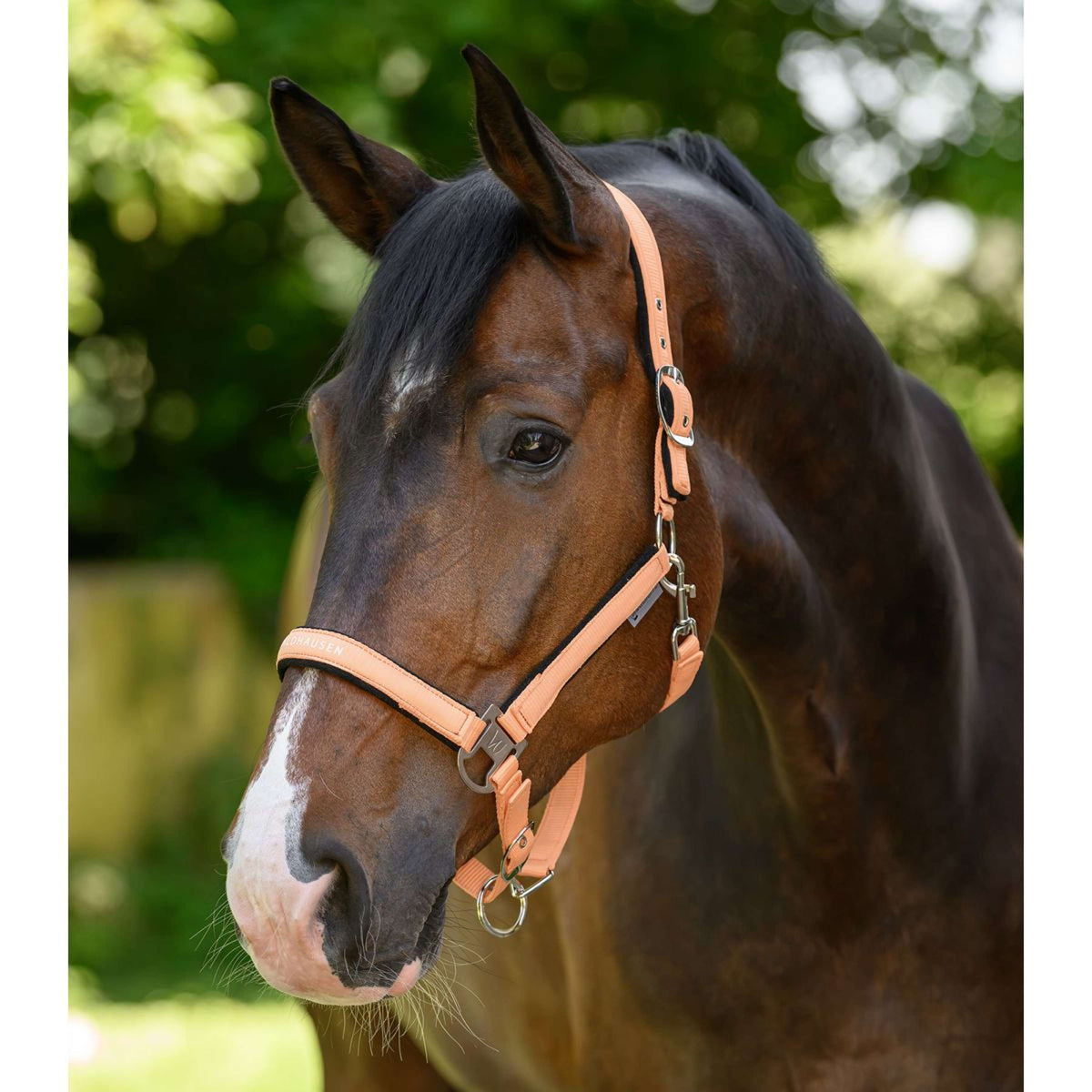 Waldhausen Halfter Athletic Pfirsichfarben