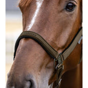 Waldhausen Halfter Athletic Grün/Braun