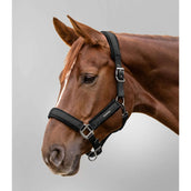 Waldhausen Halfter Soft Touch Schwarz