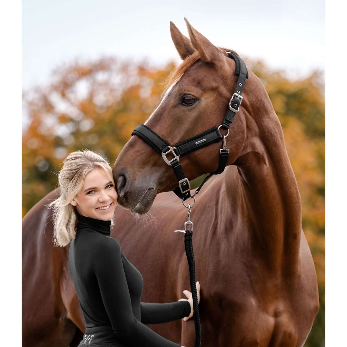 Waldhausen Halfter Soft Touch Schwarz