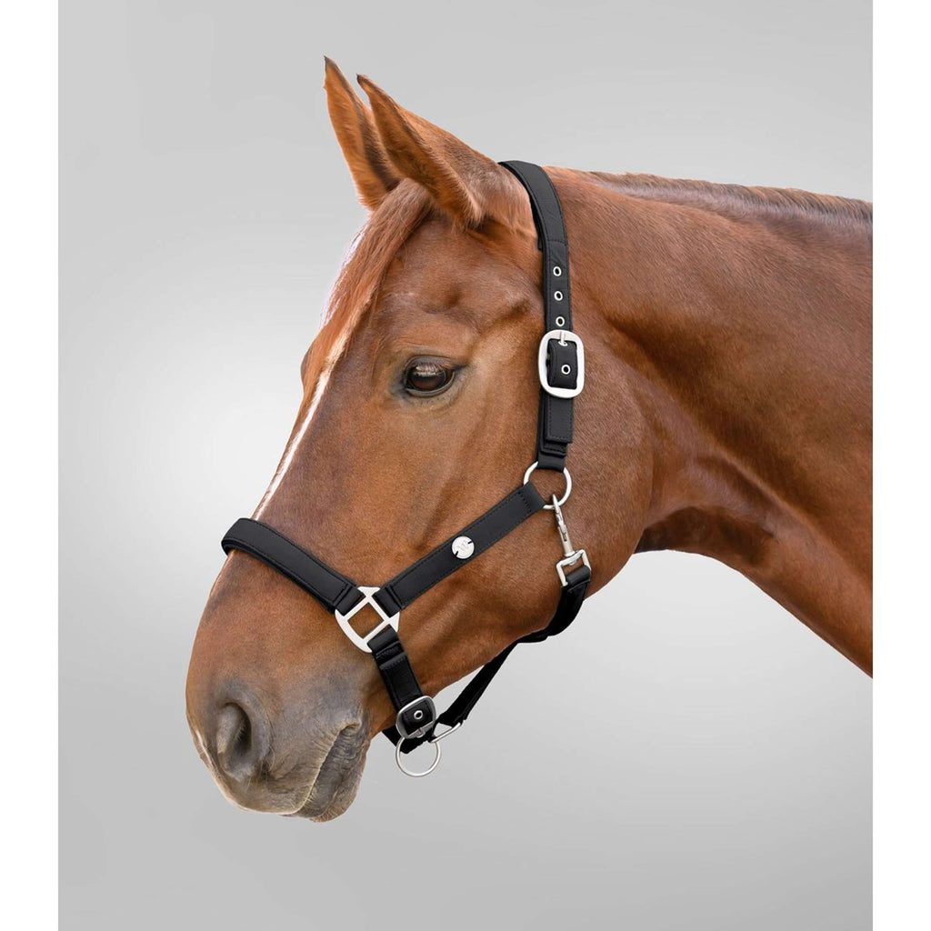 Waldhausen Halfter Trinidad Schwarz