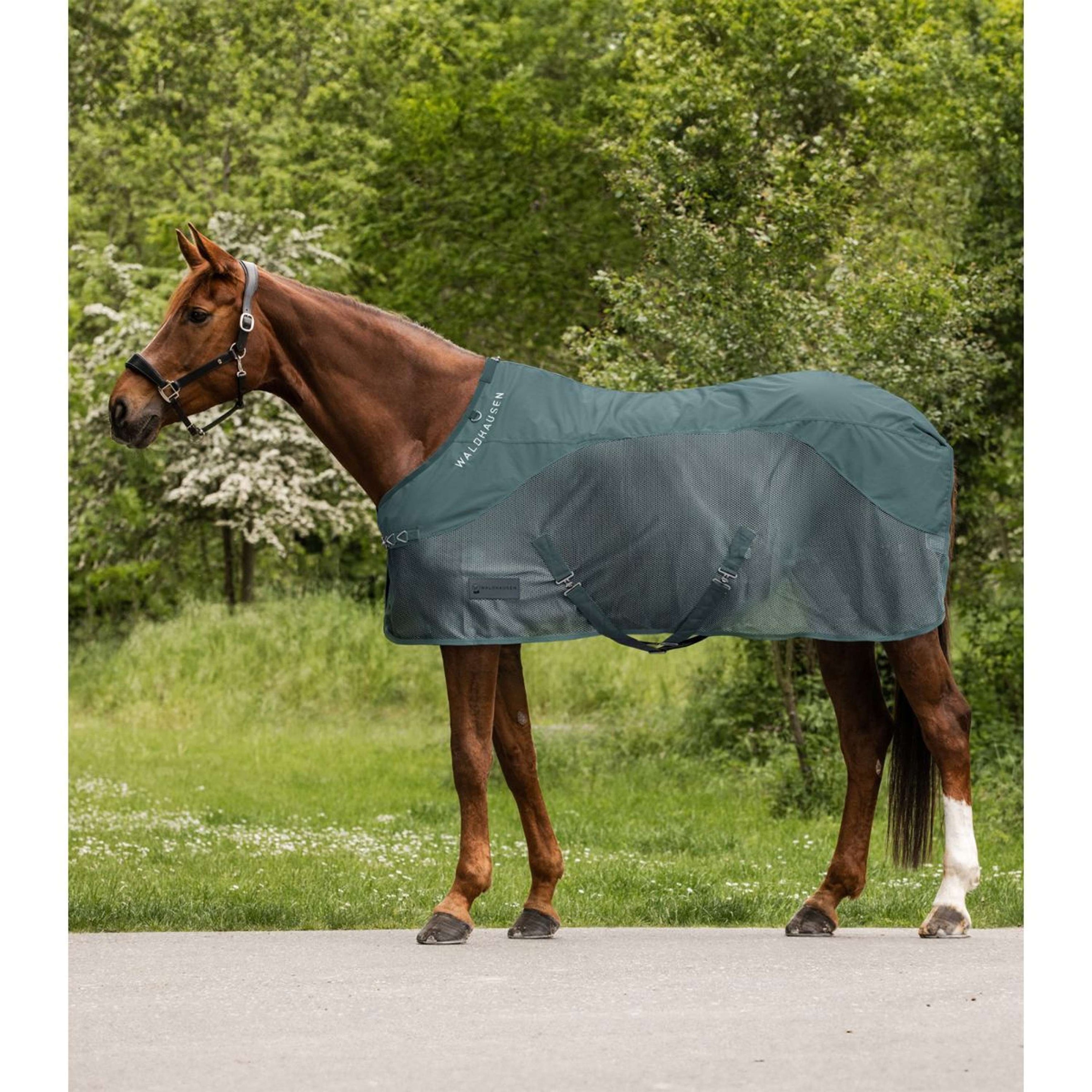 Waldhausen Fliegendecke Comfort Wasserdichter Rücken Pine Green