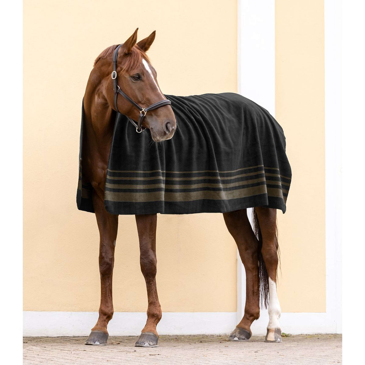 Waldhausen Abschwitzdecke Sölden Schwarz