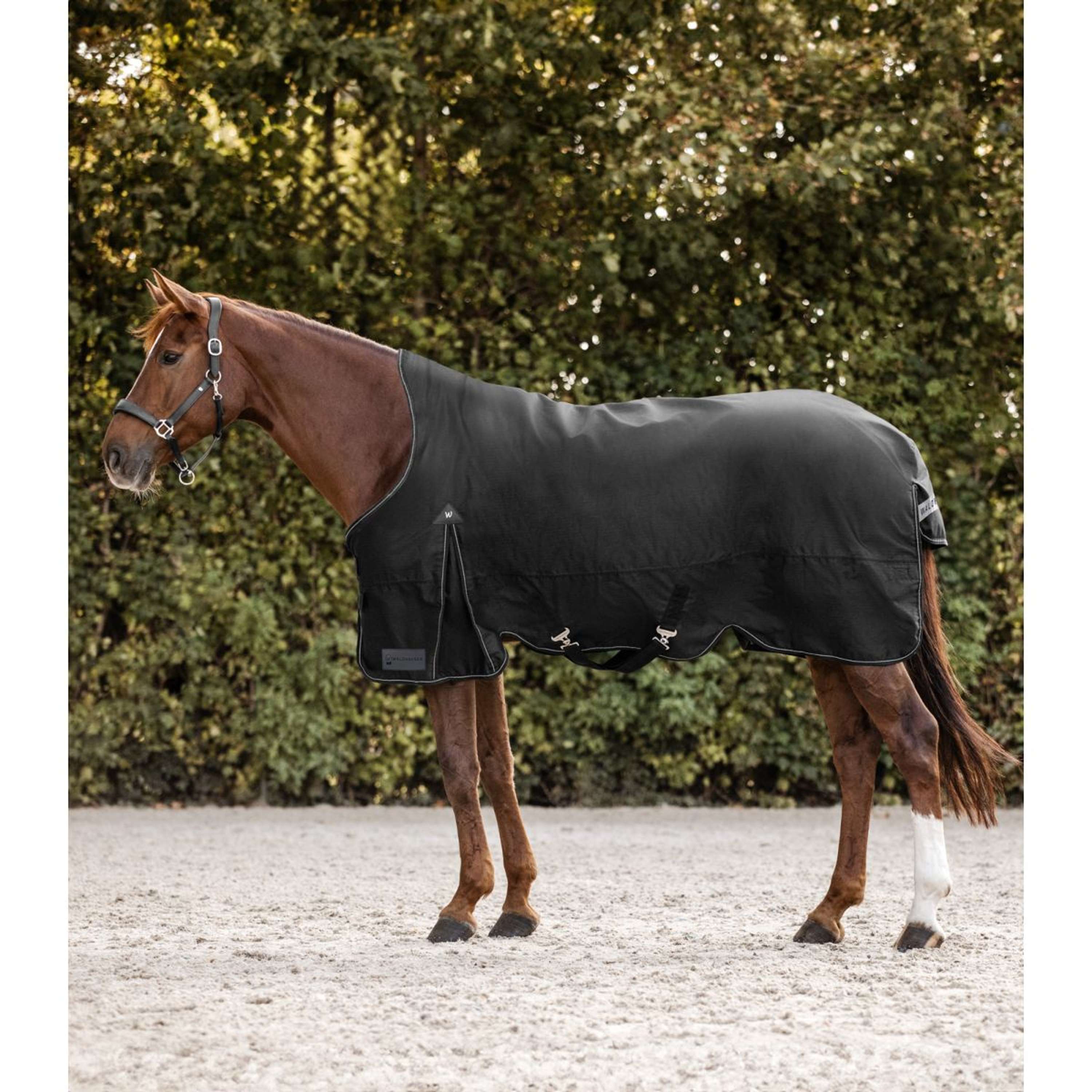 Coperta a cavallo per ragazza ama i cavalli, morbida coperta e coperta Coperta a cavallo per ragazza ama i cavalli, morbida coperta e coperta