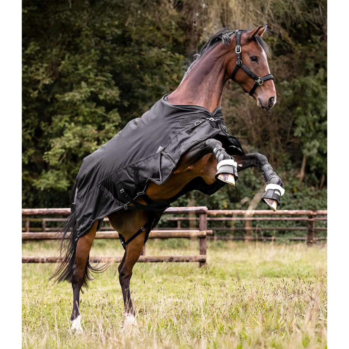 Waldhausen Outdoordecke Scandic Multi-Layer 50/150g Schwarz