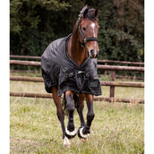 Waldhausen Outdoordecke Scandic Multi-Layer 50/150g Schwarz